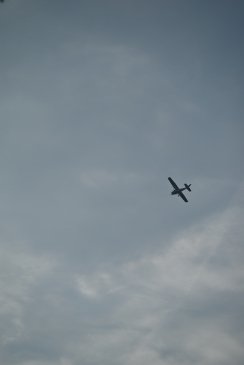 DSC_5962.JPG