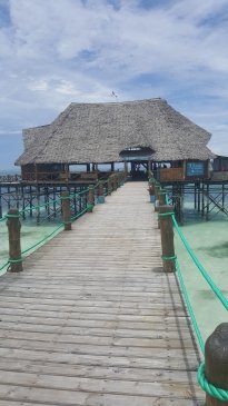 20191027_115916.jpg