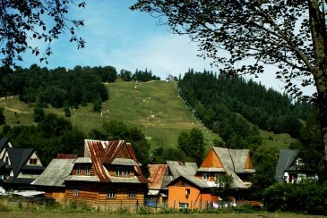 Polish_20240826_171911433.jpg