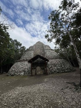 Cobá