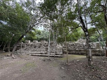 Cobá