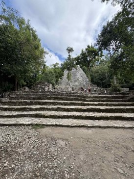 Cobá