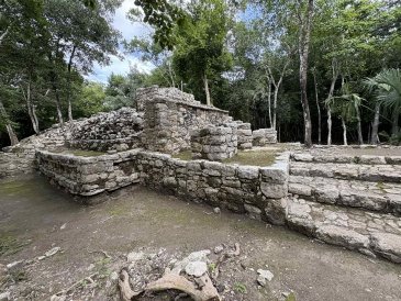 Cobá