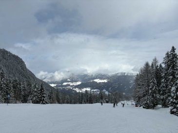 Schlick 2000