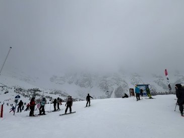 Schlick 2000