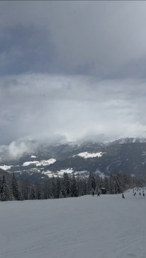Schlick 2000