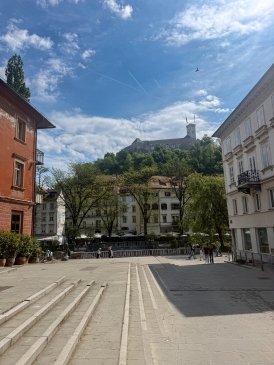 IMG_6208.jpeg