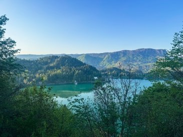 IMG_5804.jpeg