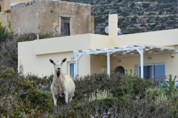 DSC_8568A.JPG