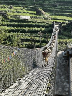Nepal - Annapurna Trek