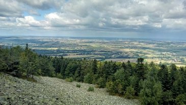 IMG_20210902_125220559_HDR.jpg
