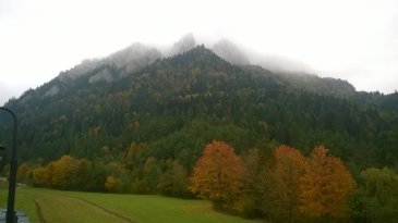 WP_20181008_005_052928.jpg