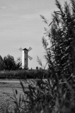 IMG_9580.jpeg