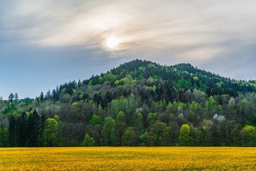 Pogórze Kaczawskie