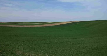DSC_0137.JPG