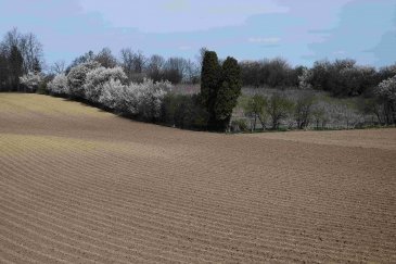 DSC_0146.JPG