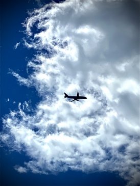 IMG_1365.jpeg