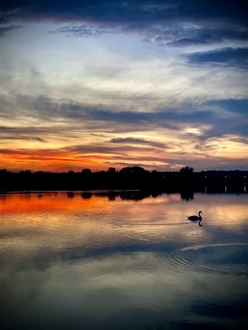IMG_1630.jpeg