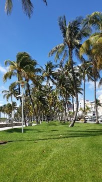 MIAMI 20260608_105500.jpg