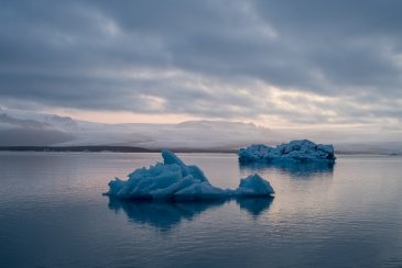 IMG_5013 2.JPG
