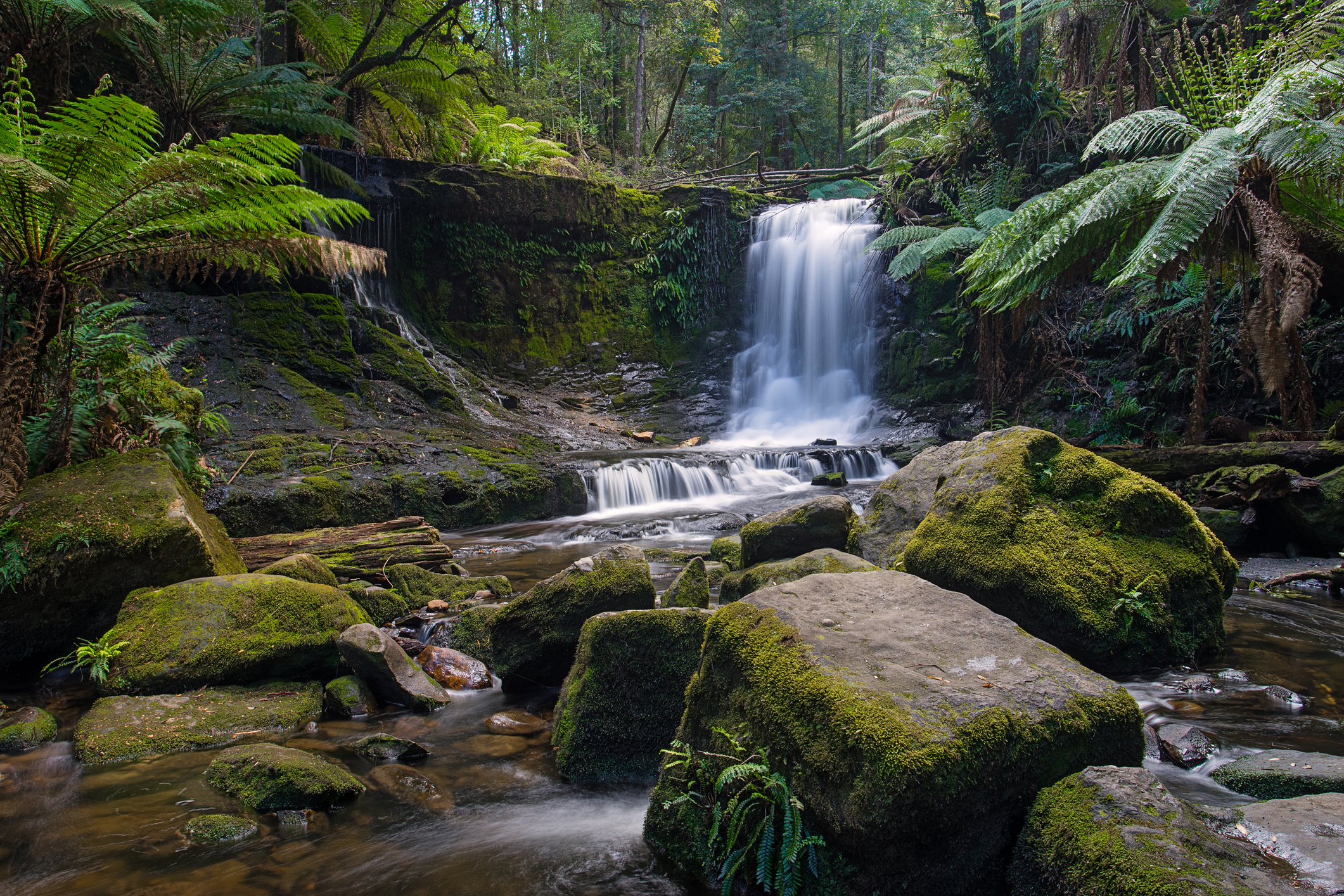 Horseshoe Falls, Mount Field National Park Australia Turystyka Bez Granic